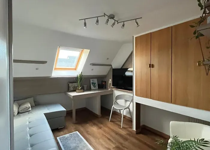 Appartement Type Loft Avec Terrasse