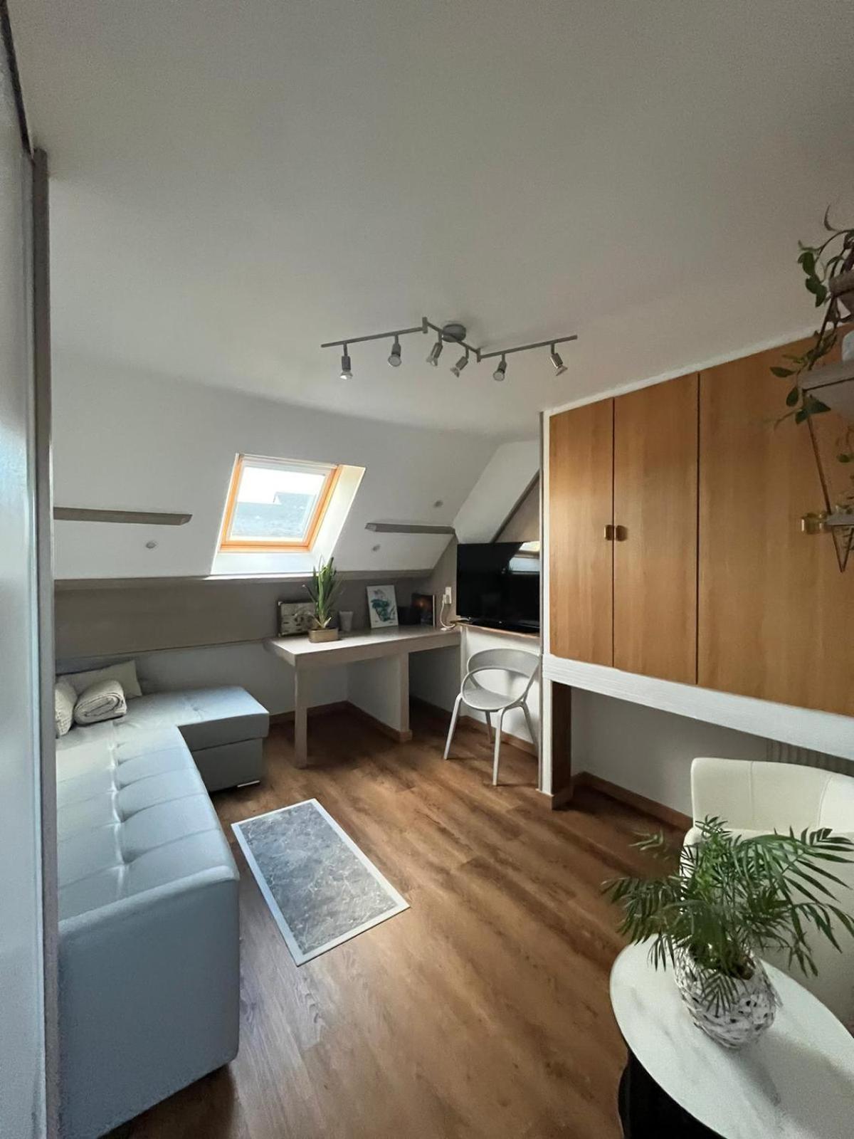 Type Loft Avec Terrasse